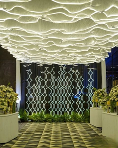 Luxo Personalizado S-Shape LED Strip Lights Pendurado Tecido Cortinas Net Pano Teto Cortinas para Casamento & Event Party Decorações - Product Image 3