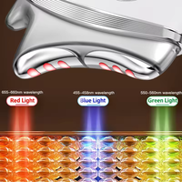 Outil facial électrique Gua Sha OEM ODM, masseur micro-courant pour le cou et le visage, instrument de raclage facial LED Gua Sha pour le raffermissement de la peau