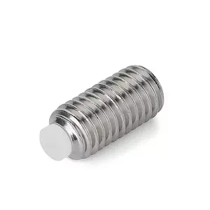 M3 M4 M5 Acero inoxidable Cabeza Allen Hexagonal Plástico Nylon Perro Punta de extremo convexa Tornillo de fijación de perno prisionero