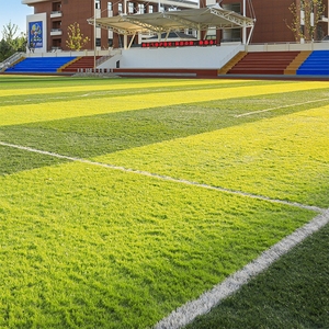 Césped Artificial para Proyectos al Aire Libre, Alfombras Verdes, Césped para Escuelas y Simulación de Jardines - Product Image 4