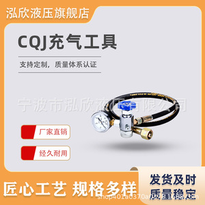 Hongxin Nitrogen Charging <b>Tool</b> 25-40Mpa For <b>Shearing</b> Machines Hydraulic Accumulator - Product Image 2
