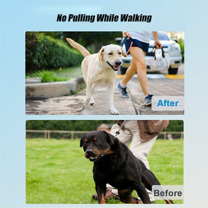 Collar profesional de puntas de acero inoxidable | Collar de entrenamiento de perros ajustable con bloqueo de seguridad para corrección de comportamiento de razas grandes - Product Image 4
