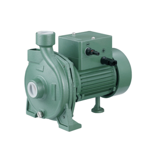 Bomba de Agua Centrífuga QY de 1 HP con Motor de Corriente Continua y 1 Entrada para Riego y Agricultura - Product Image 1
