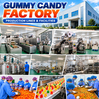 Bonbons gélifiés doux en forme de sucette, emballage personnalisé avec logo, vente en gros de bonbons OEM, fabricant de bonbons gélifiés aux saveurs de fruits