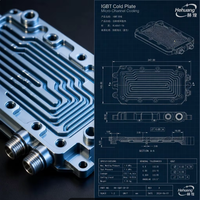 Plaque de refroidissement pour module de puissance IGBT, boîtier de convertisseur DC-DC, boîtier OBC, plaque de refroidissement à eau pour contrôleur de moteur, pièces OEM CNC pour véhicules électriques