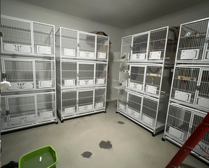 Smeedijzeren Vogelkooi Met Rolling Stand Voor Papegaaien Conure Van Lovebird Valkparkiet Duif Kooien Die Kunnen Worden Gestapeld - Product Image 6