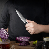 Vente chaude Premium japonais AUS10 damas en acier au carbone cuisine Chef couteau utilitaire viande fruits couteau de coupe avec poignée G10