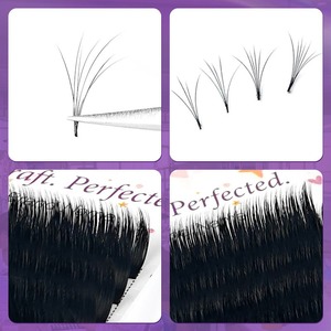 Extensions de cils en velours et cachemire avec logo personnalisé, noir mat, Easy Fan, en soie 0.03, courbure DD, plateaux de volume pour extensions de cils - Product Image 1