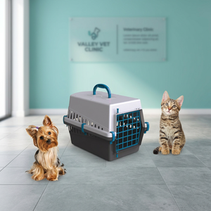 Transportín para Mascotas de Plástico Resistente Hecho en Italia, Ligero, para Animales Pequeños, con Diseño de Animales - Product Image 3