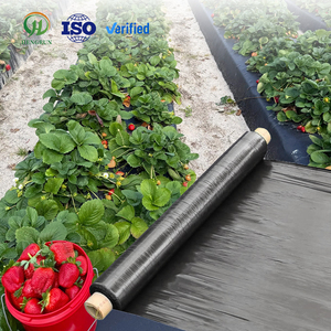 Film <span class=keywords><strong>de</strong></span> paillage noir moulé par soufflage pour serres <span class=keywords><strong>de</strong></span> culture <span class=keywords><strong>de</strong></span> fraises – Garde les fruits propres, anti-mauvaises herbes, protection UV, couverture <span class=keywords><strong>de</strong></span> sol - Product Image 1