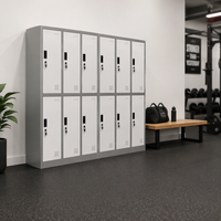 Armoire de rangement verticale en acier à 5 niveaux Youbai, 5 portes, démontable, durable, écologique, pour salle de sport, école, bureau, salle du personnel
