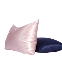 Vente en gros 6A 100% taie d'oreiller en pure soie 22 Momme motif solide avec fermeture éclair boîte personnalisée pour la maison hôtel hôpital utilisation
