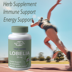 OEM/ODM Ventes Chaudes Lobelia Aerial 50mg |   Soutien à la fonction immunitaire saine |   Racine de gingembre |   Non-OGM et végétalien |   100 gélules végétales - Product Image 3