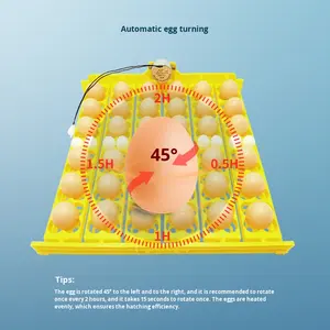 ถาดใส่ไข่พลาสติกแบบใหม่ พร้อมระบบพลิกไข่อัตโนมัติ สำหรับไข่ไก่ ไข่เป็ด ไข่ห่าน 24 ฟอง 36 ฟอง และไข่นกกระทา 156 ฟอง - Product Image 3