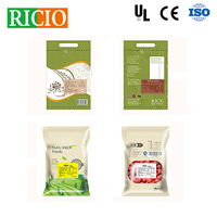 Machine d'étiquetage automatique RICIO OEM pour composants PLC, à double face, à surface plane, auto-adhésive, pour l'étiquetage vertical et horizontal des sacs en feuille et des cartes