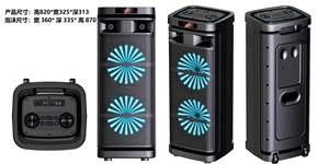 Altoparlanti DJ da Esterno Doppi da 10 Pollici con Telecomando, Uscita 20W*2, Microfono, AUX, TWS, Luci LED RGB per Karaoke e Uso Familiare KTV - Product Image 3