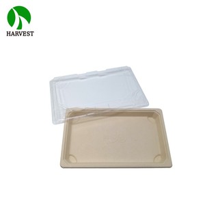 Papier <span class=keywords><strong>de</strong></span> bagasse <span class=keywords><strong>de</strong></span> <span class=keywords><strong>canne</strong></span> à sucre, <span class=keywords><strong>pulpe</strong></span> non blanchie, matière première, <span class=keywords><strong>assiette</strong></span> à gâteau - Product Image 6