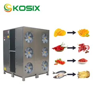 Kosix özel ticari balık kurutucu makinesi gıda kurutma makinesi kurutucu et ısı pompalı kurutma