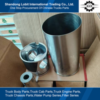 Sinotruk HOWO 371 Truck Parts Diesel Engine Power Core Components Piston Cylinder Liner Piston Ring Piston Pin Set KC1560030012