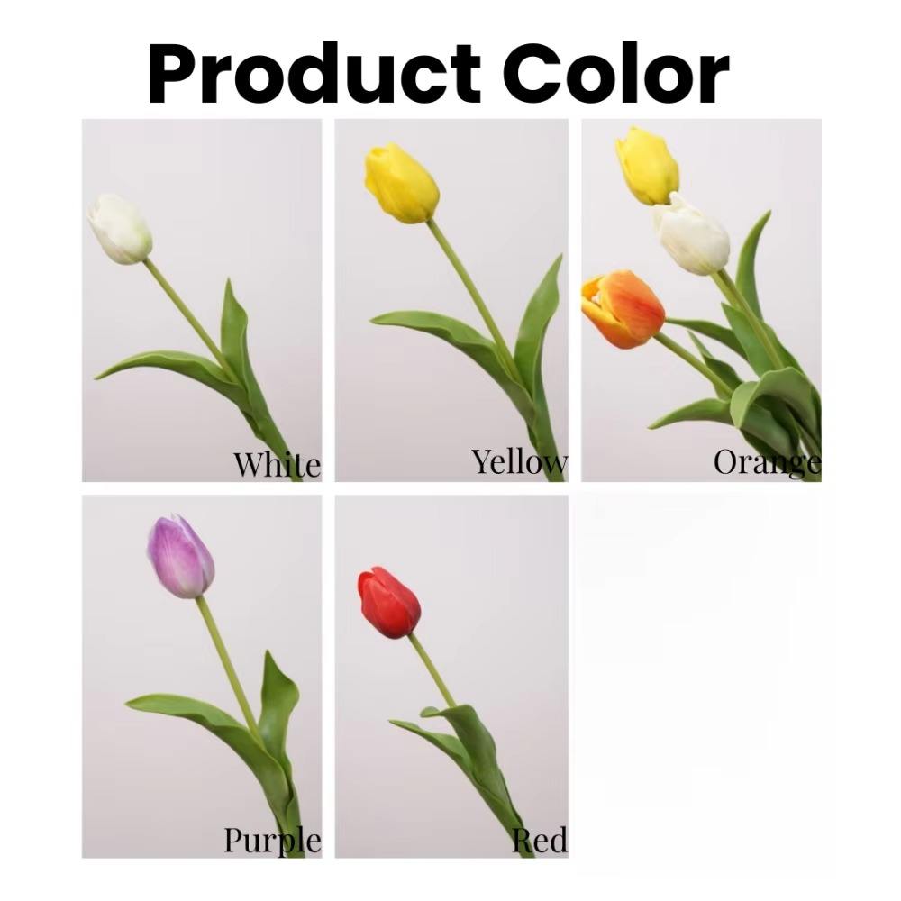 Polvere superficiale