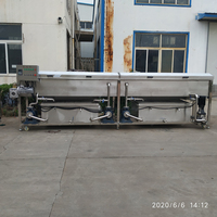 Dadelpreparatiemachine, voedselveilige roestvrijstalen bubbelwasser voor dadelpreparatielijn met transportband.