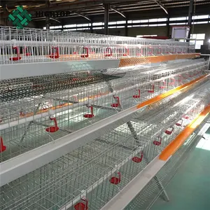 التلقائي نوع طبقة شبكة أسلاك قفص للدجاج لسري لانكا مزرعة الدواجن