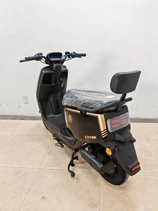 Moto Vintage Haute Performance pour Adultes avec Moteur Puissant 1000W 60V et Batterie Longue Portée - Prix de Gros Usine - Product Image 3
