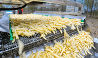 Nieuwe volautomatische milieuvriendelijke productielijn voor verse aardappel-frites en chips te koop