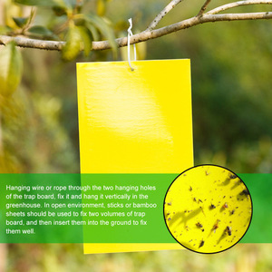 Yegbong Tablero azul de doble cara Thrips Invernaderos Orchard Armyworm <span class=keywords><strong>Killing</strong></span> Small Flies Fruit - Product Image 3