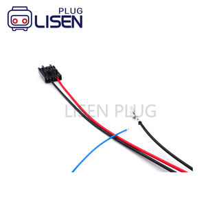 Harness Kabel Konektor Otomotif 2 Pin Kustom Dengan Terminal Plug untuk Pompa Bahan Bakar - Product Image 6
