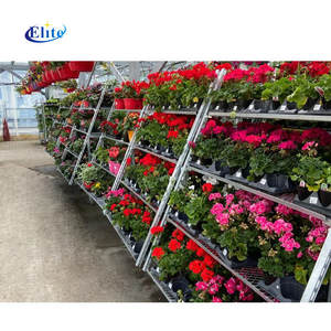 Présentoir métallique 2/<span class=keywords><strong>3</strong></span>/4 couches Chariot à plate-forme en treillis métallique Chariot à quatre roues enduit de poudre galvanisé à chaud pour serre - Product Image 1