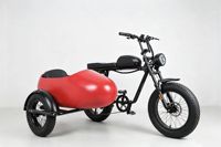 Bicicleta Eléctrica de 3 Ruedas con Neumáticos Anchos y Sidecar, Bicicleta Eléctrica con Asistencia al Pedaleo para Adultos, para Viajes con Pasajeros y Mascotas