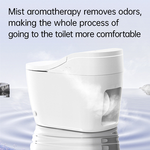 One Piece Electric <strong>Bidet</strong> Siphonic Intelligent Smart Toilet Bowl Elongated Shape with Remote Control Function for Hotels - Product Image 6