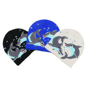 FF4893 cappellini invernali Unisex in maglia Unisex in acrilico senza tesa cappelli da donna caldi a maglia berretto con teschio modello delfino Y2K berretti - Product Image 2