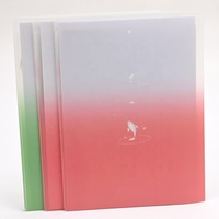 Porte-documents en plastique A4 A5 à double pochette, épaisseur 0,3 mm, organiseur de documents pour l'école et le bureau, vente en gros OEM