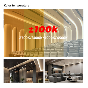 Tira de Neón Flexible de Alta Gama con Certificación UL CE, Ahorro de Energía, 100LM/W, 16*16mm, Radio de Curvatura, 50000H de Vida Útil, Gran Éxito de Ventas en el Mercado Estadounidense - Product Image 4