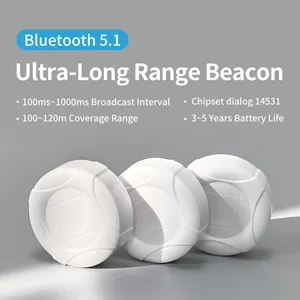 120m uzun menzilli 61mm küçük boyutu Eddystone ibeacon Ble Bluetooth Beacon iot cihazı kapalı ve kargo izleme ble işaret için