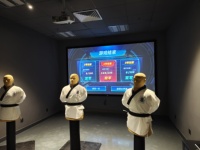 Machine de jeu de boxe interactive et dynamique, simulateur de fitness et de soulagement du stress pour l'intérieur, machine de frappe d'arcade pour parc sportif