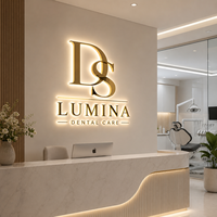 Enseigne de logo d'entreprise, lettres en relief 3D LED, lettres rétroéclairées dorées, logo d'entreprise personnalisé, enseigne de devanture de magasin pour entreprise
