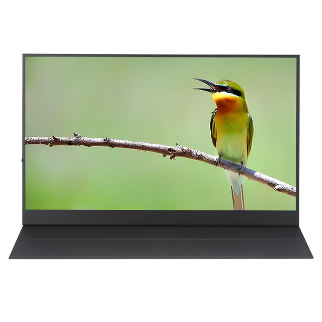 17 Inch Portable Monitor 2K 2560x1600 Resolution PC Monitor IPS Screen USB Type-C HDM Input Mobile Laptop Extender Monitor