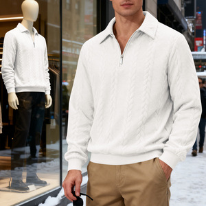 2026 Spring Autumn Men's Heavyweight Textured Casual Commute Lapel <b>Zip</b> <b>up</b> <b>Polo</b> Sweatshirt - Product Image 4
