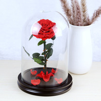 Vente en gros de fleurs de rose préservées longue durée sous dôme, éclairage solaire, respectueuses de l'environnement, 3-5 ans, pour la Fête des Mères et la Saint-Valentin