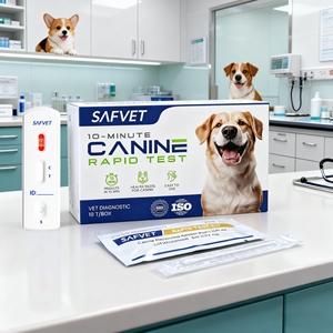 고품질 개 디스템퍼 티터 검사 CPV CDV 파보바이러스 Y 모퀼로 파보/디스템퍼 반려동물 신속 검사 키트 개 검사 - Product Image 1