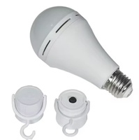 Ampoule LED professionnelle d'usine 15W 2000mAh avec charge Type-C