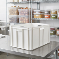 Caixa Plástica Grande de HDPE LAR CAS2050 58L, Empilhável, para Logística de Alimentos