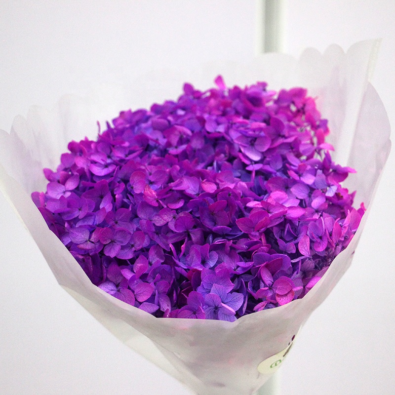 Dried Flowers in Bulk from Global Suppliers | Premium Quality ...