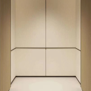 Ascenseur en acier inoxydable titane à entraînement par courant alternatif à traction plastique avec un excellent prix OTIS - Product Image 1