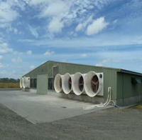 Poulailler préfabriqué à structure en acier | Maison de volaille durable et facile à assembler