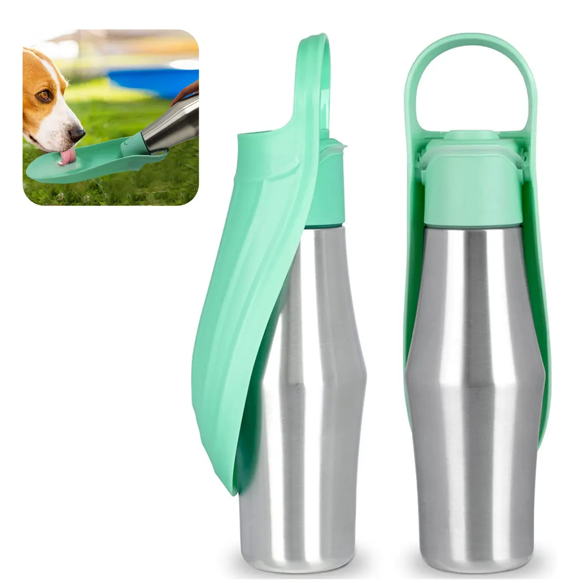 750ml tragbare Hunde wasser flasche Edelstahl Pet Travel Wasser flaschen spender Outdoor Metall Haustier flaschen