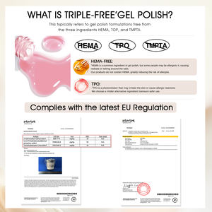 ZRKGEL Professional <strong>Nail</strong> <strong>Supplier</strong> Hema/Tpo Free 288+ Colors High Quality Gel <strong>Nail</strong> Polish Set Wholesale Custom Logo UV Gel Polish - Product Image 5